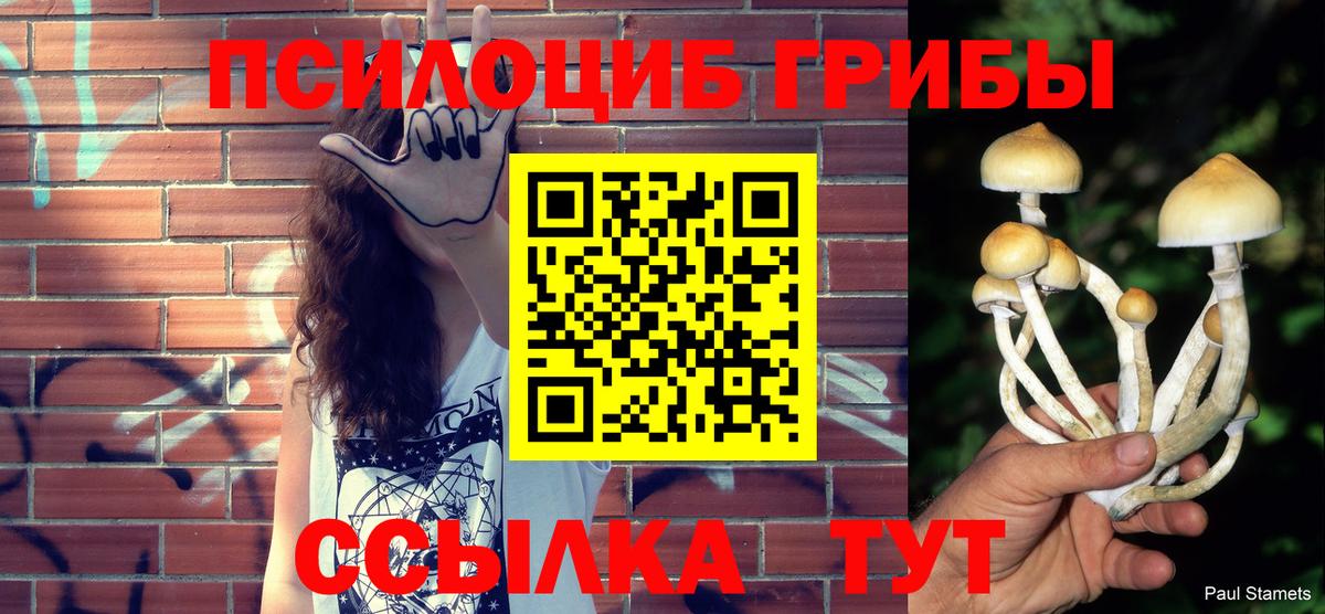 Псилоцибиновые грибы Magic Shrooms  Галлюциногенные грибы прущие грибы  Кушва  как найти наркотики  Вход с VPN 